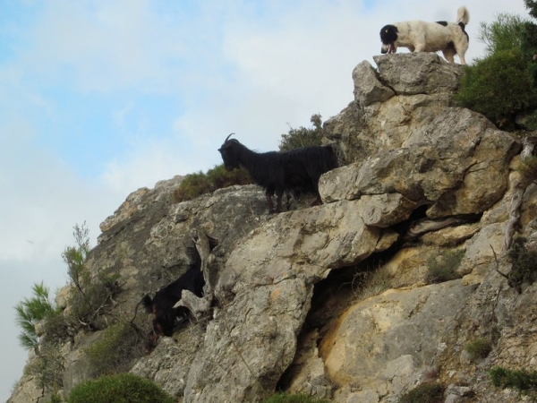 Mayehm and the Mountain Goats - Lycian Way