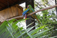 Parque del Centenario (Merida's Zoo)