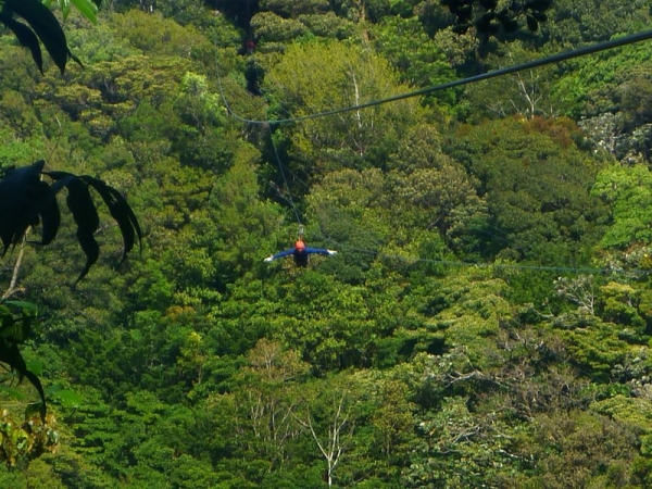 Adventura - Monteverde