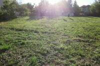 Our Yard