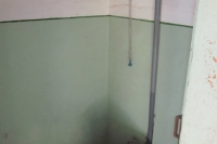 Outdoor Loo