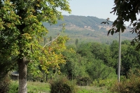 View from yard