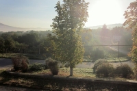 View from yard