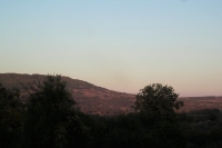View from yard