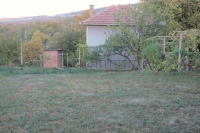 Our yard