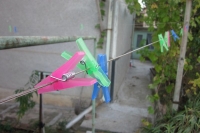 Our yard