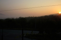 View from yard