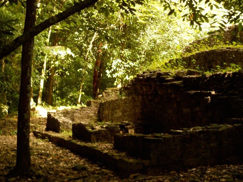 ruins in the jungle