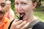 Tarantula in Ashley's mouth