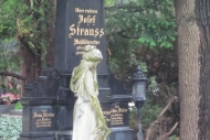 Zentralfriedhof - Josef Strauss' Grave