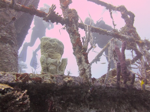 Diving at the Wreck Diving at the Wreck