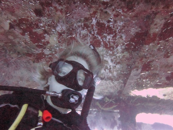 Chilling in the Wreck Chilling in the Wreck