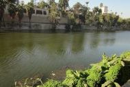The Nile - Cairo