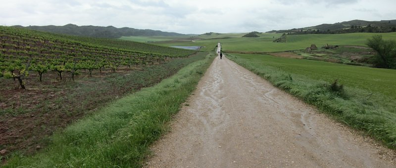 Panorama - Camino de Santiago