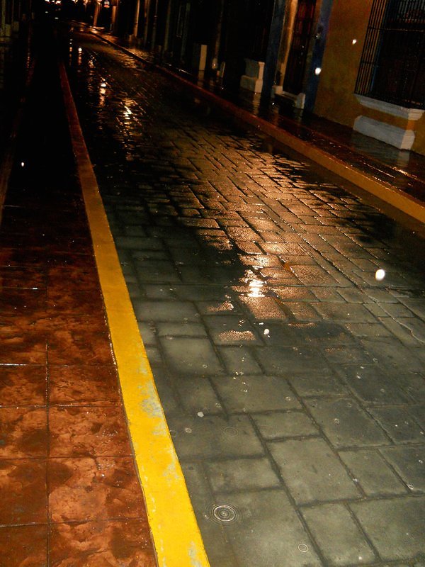 street during a light rain at night