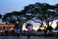 the park at night