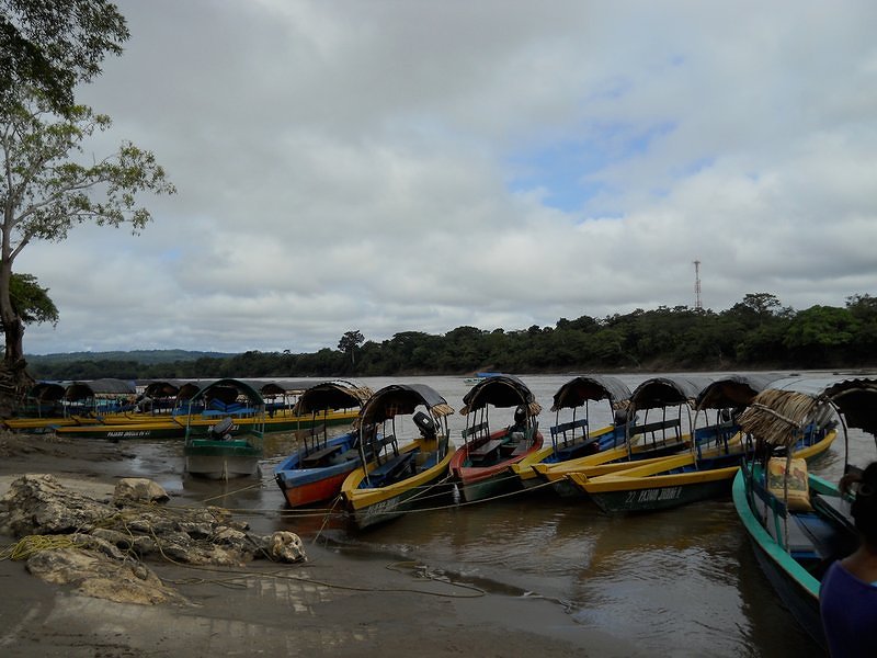 River boats