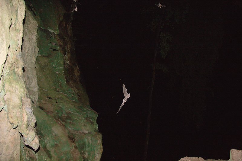 Lanquin Caves
