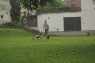 Cutting grass at the apartment