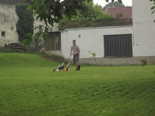 Cutting grass at the apartment