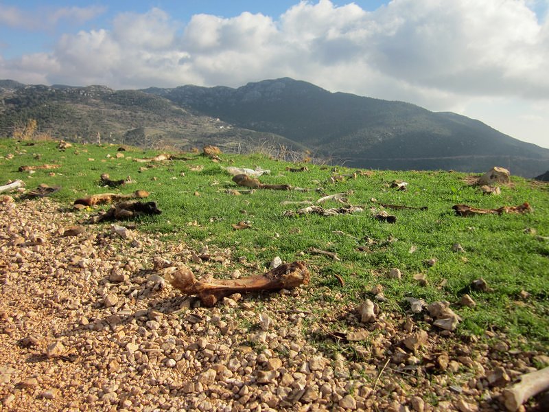Cattle Grave Yard - Lycian Way
