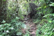 Monteverde