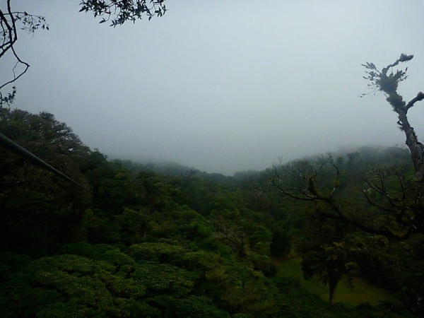 Adventura - Monteverde