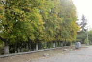 View of street