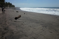 Playa El Tunco