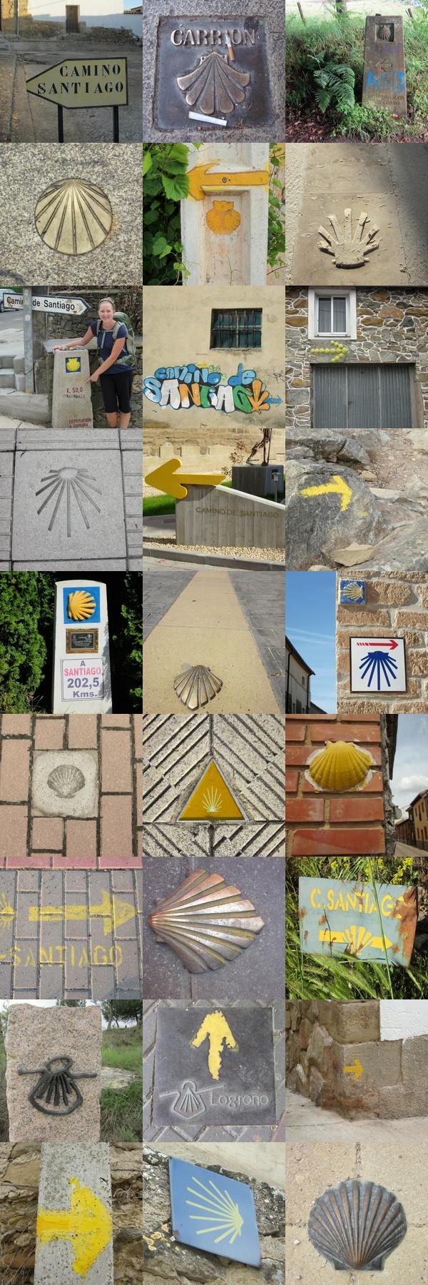 Some of the Many Many Way Markers